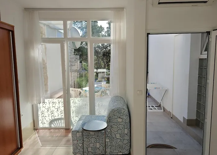 Paladin * Primošten